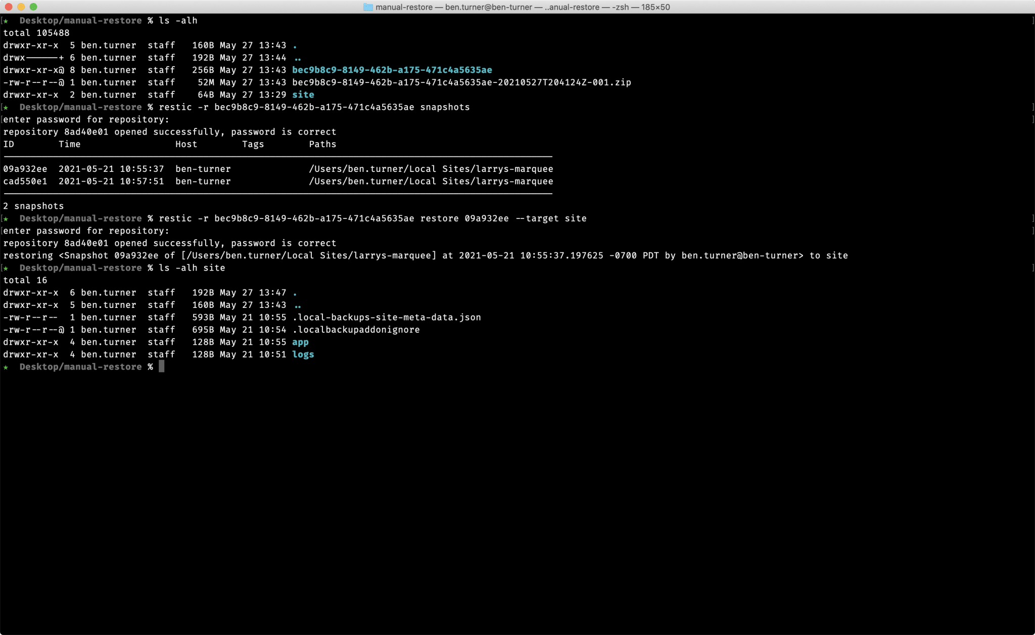 Manually Restore a Cloud Backup with Restic Local