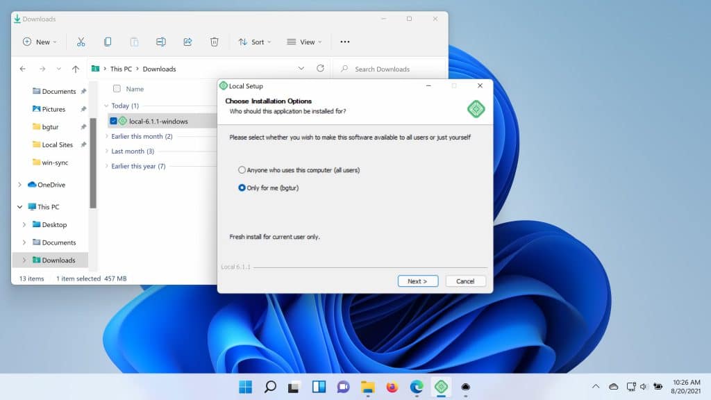 A screenshot of installing Local on Windows.